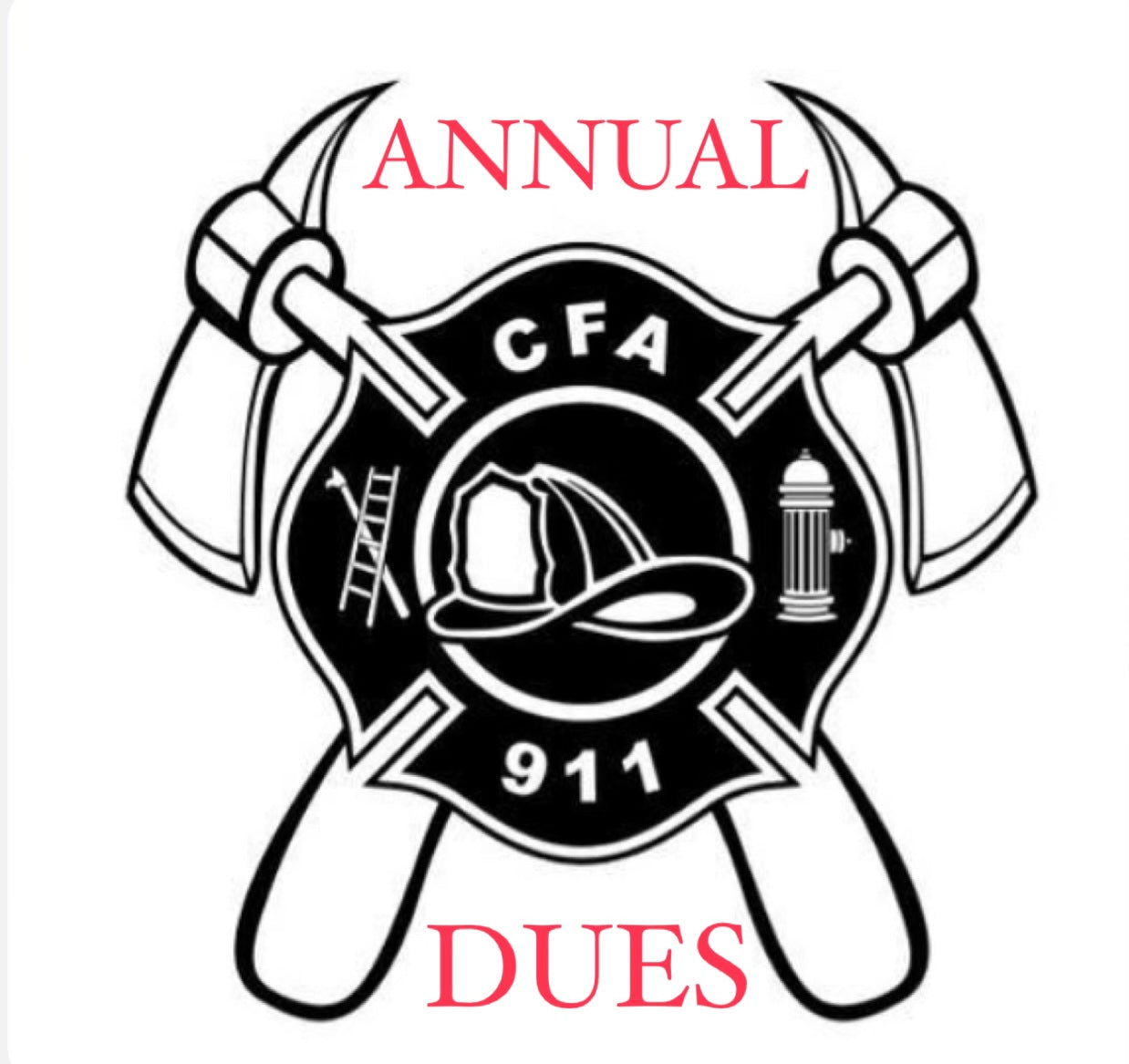 Annual Membership Dues